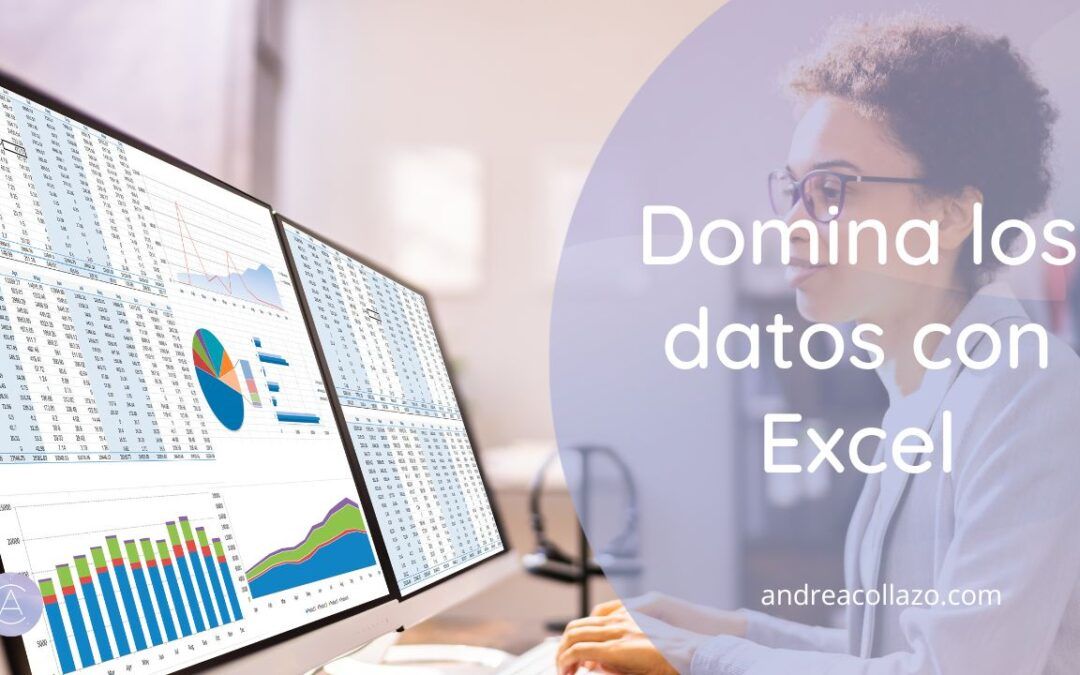 Domina Excel y Transforma tu Negocio
