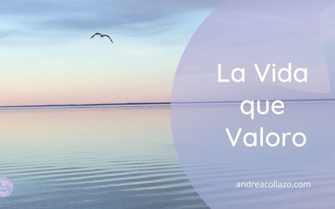 La Vida que Valoro