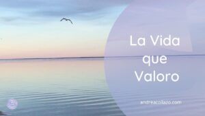 la vida que valoro