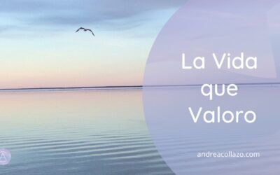La Vida que Valoro