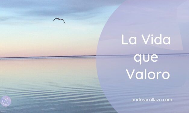 La Vida que Valoro